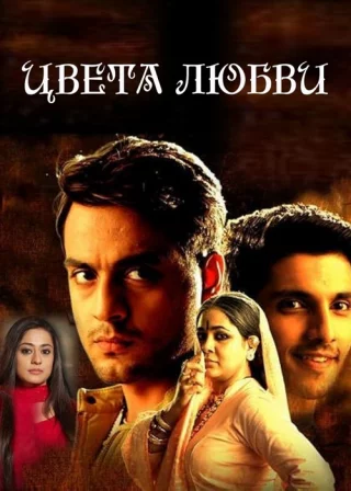 Цвета любви